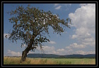 odkaz na obrzek