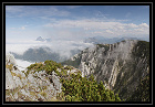 odkaz pano
