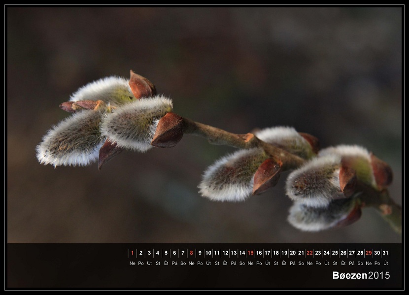 zav��t obr�zek