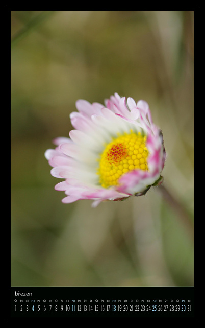 zav��t obr�zek