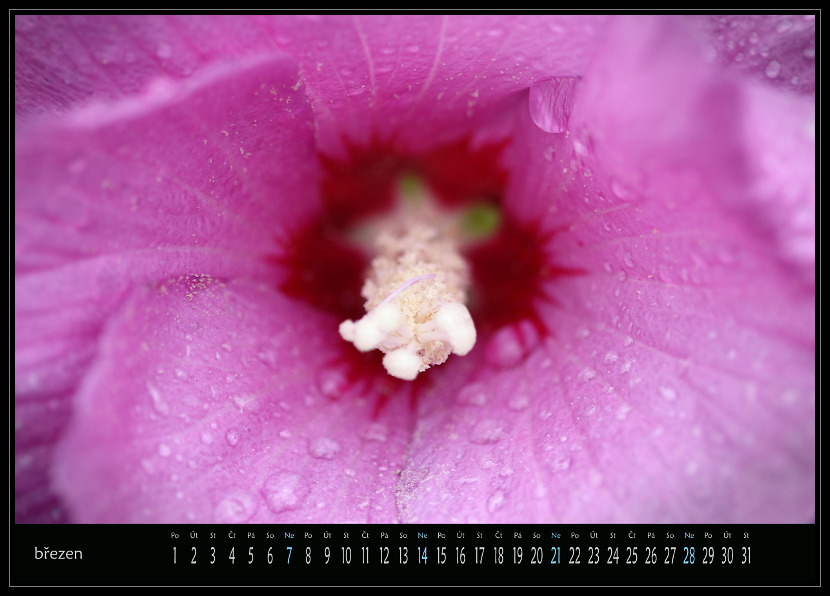 zav��t obr�zek