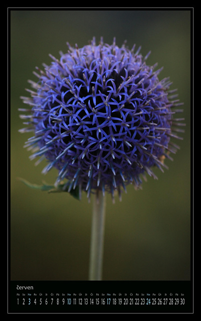 zav��t obr�zek