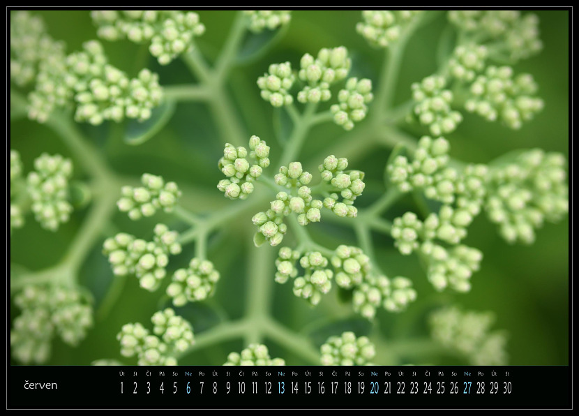 zav��t obr�zek