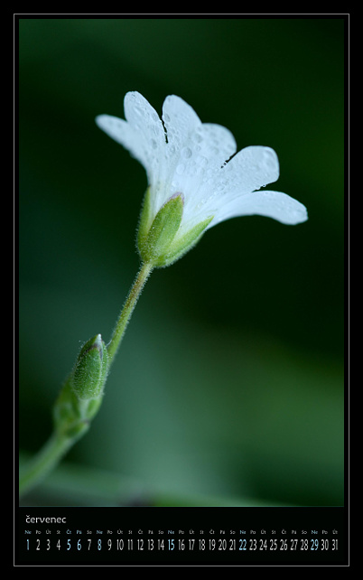 zav��t obr�zek