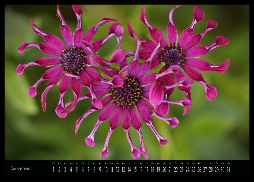 zav��t obr�zek