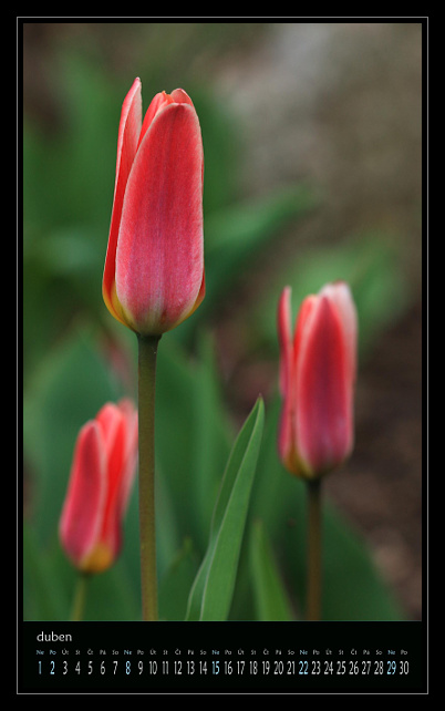 zav��t obr�zek