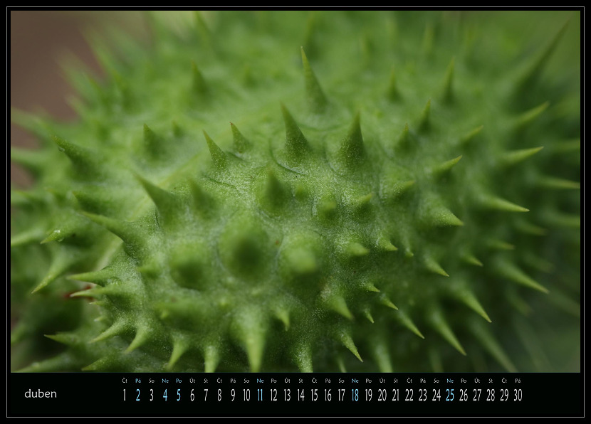 zav��t obr�zek