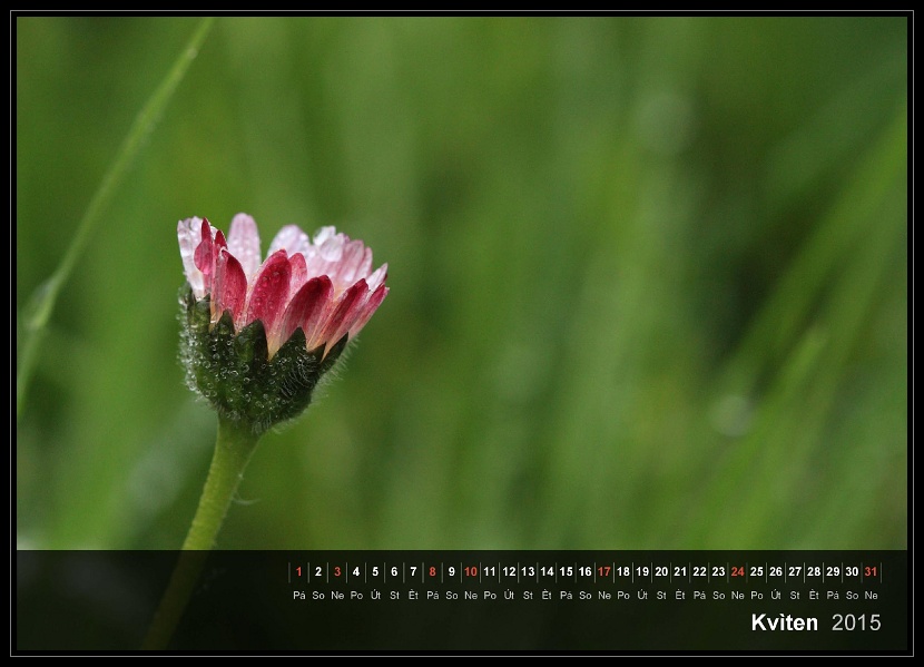 zav��t obr�zek