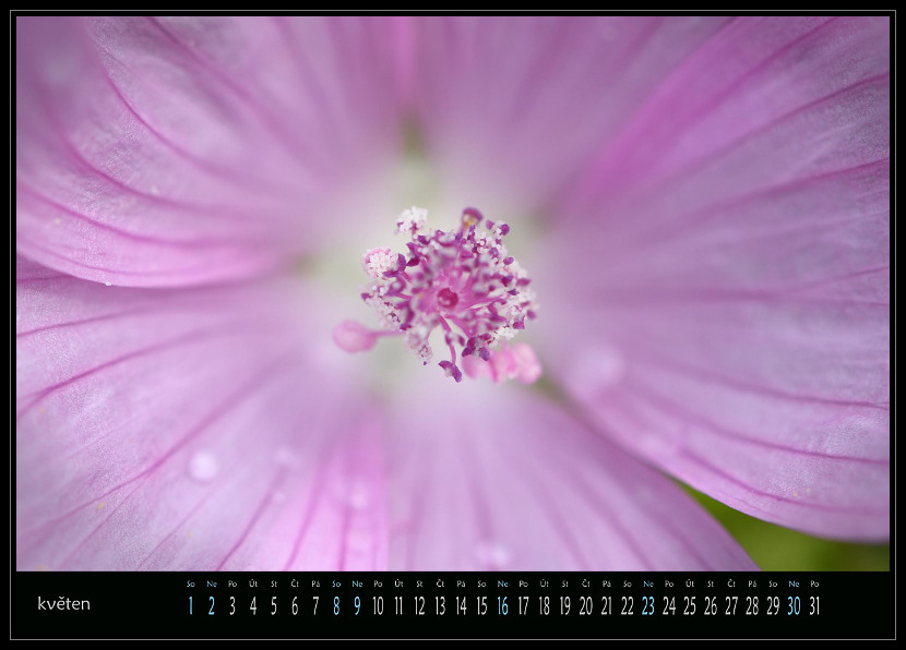 zav��t obr�zek