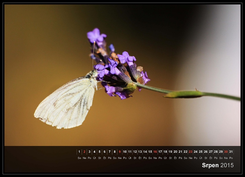 zav��t obr�zek