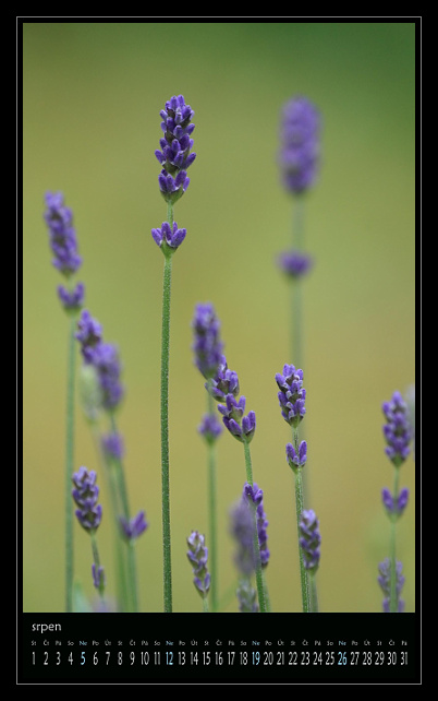 zav��t obr�zek