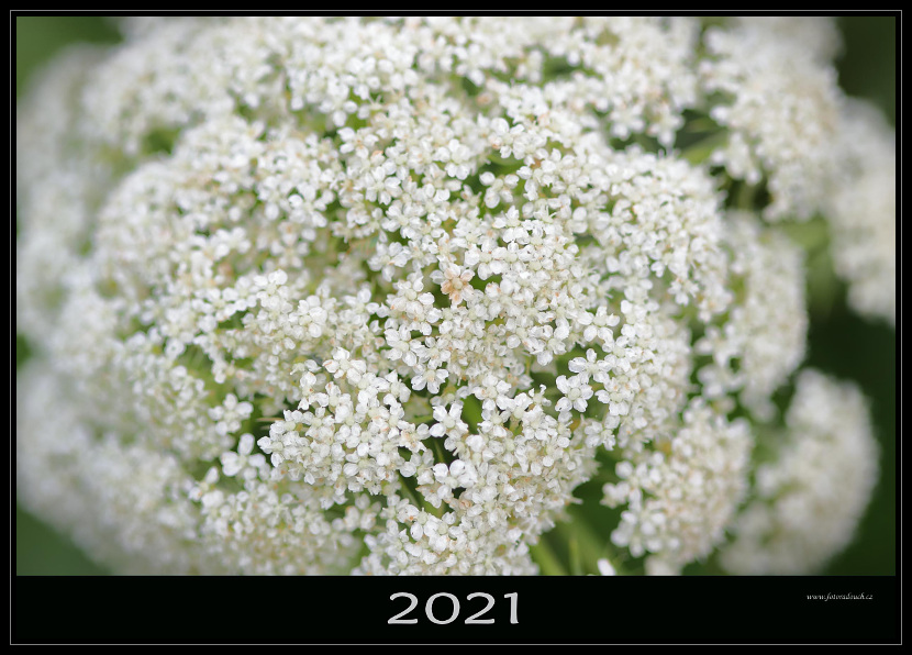 zav��t obr�zek