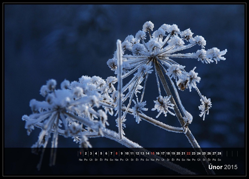 zav��t obr�zek