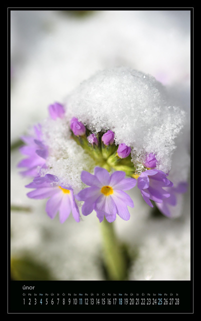 zav��t obr�zek