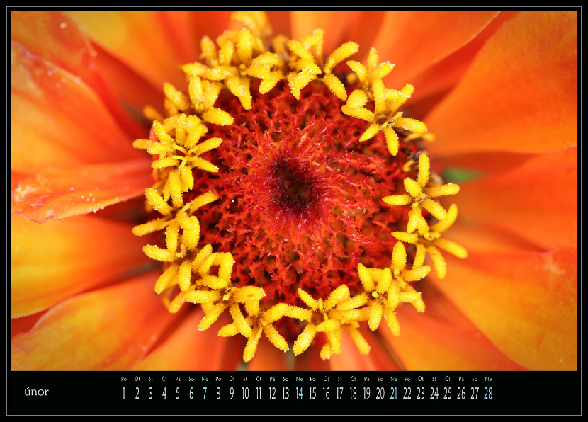 zav��t obr�zek