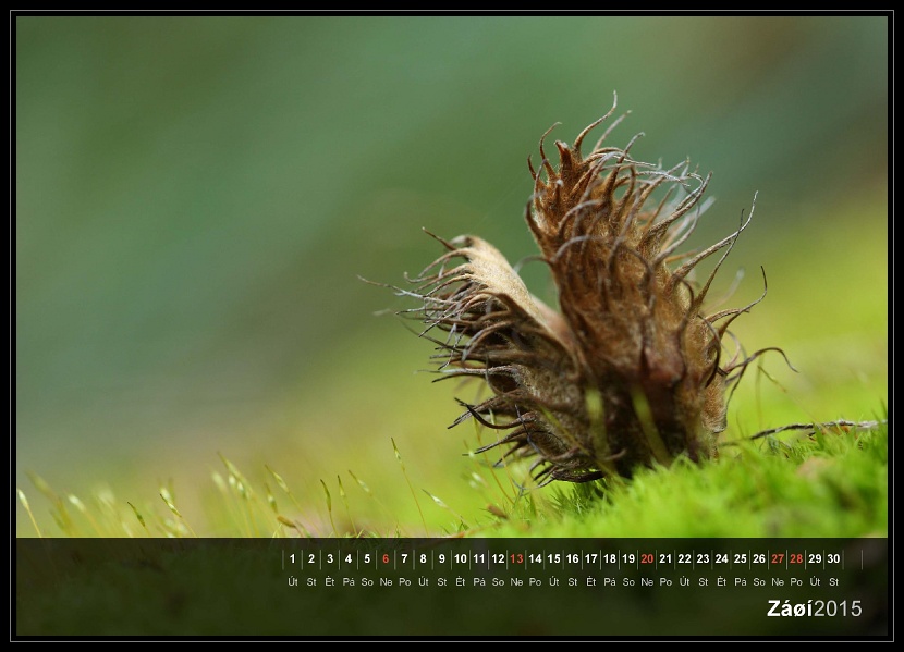 zav��t obr�zek