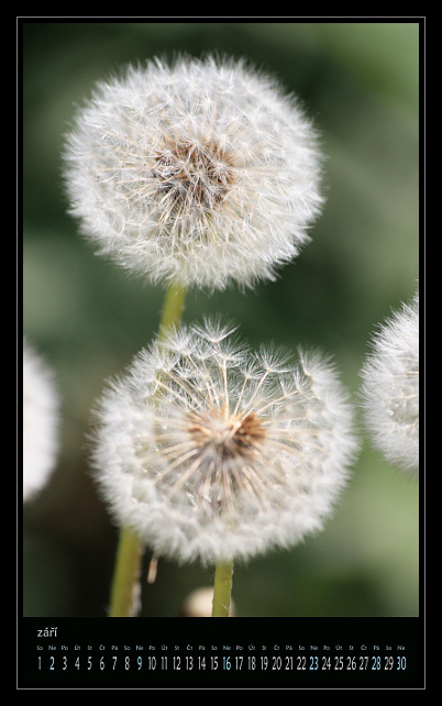 zav��t obr�zek