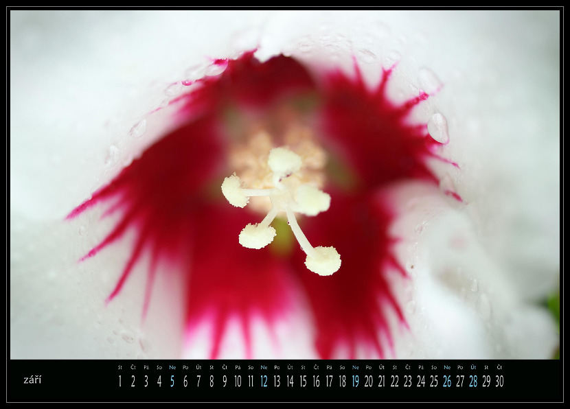 zav��t obr�zek